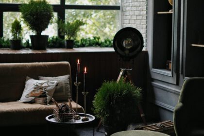 Een gezellige woonkamer met planten in de vensterbank en op de houten vloer.