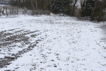 Winters landschap